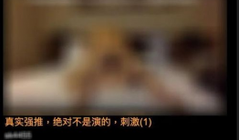 能看的黄色视频,内容解析与警示