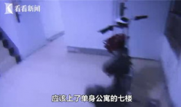 a三级视频,深度解析其内容与影响